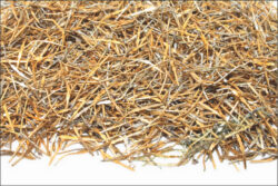 Лигатура разъёмов тонкостенная, позолоченная